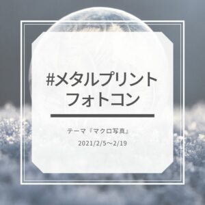 #メタルプリントフォトコン　テーマ『マクロ写真』